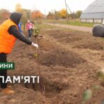 У яблуневому саду Чернігівської політехніки висадили Алею пам’яті