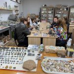 Лабораторна робота з інженерної геології та основ механіки ґрунтів