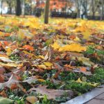 Студентська екскурсія по Чернігову