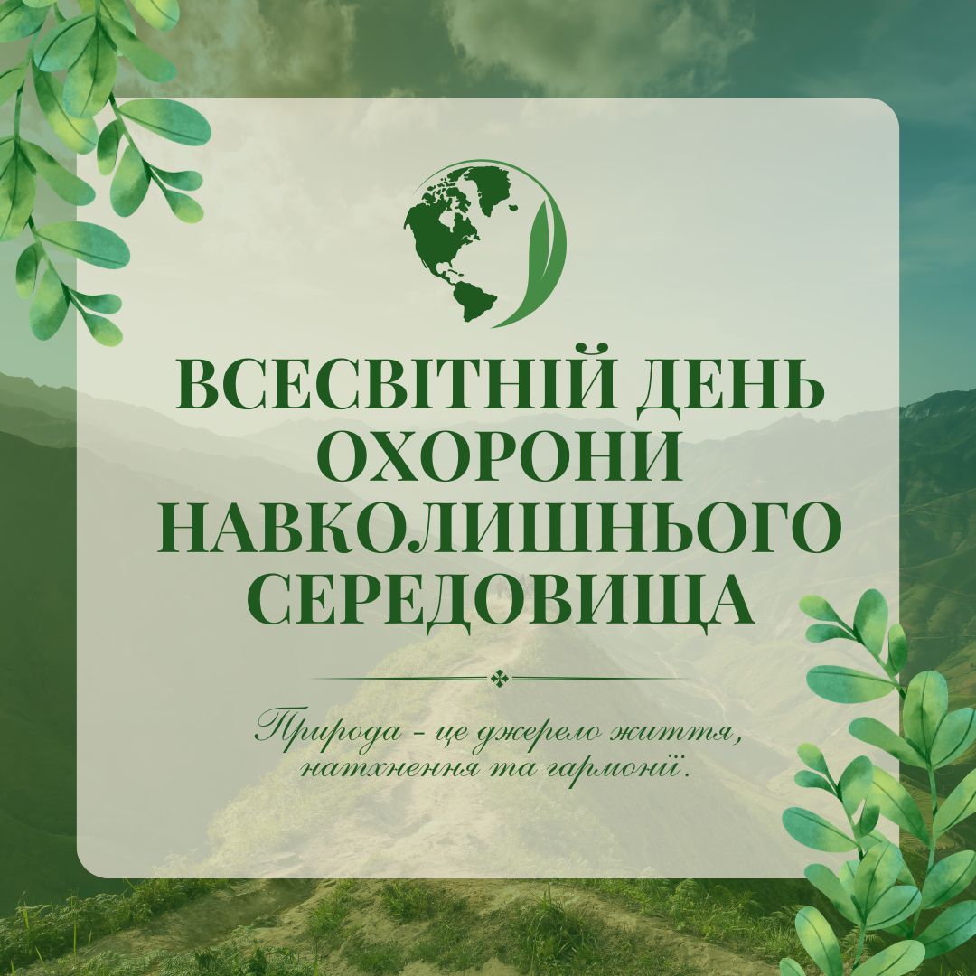 зображення (19)