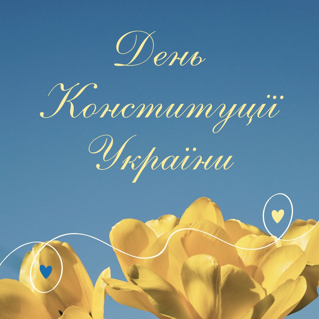 зображення (22)